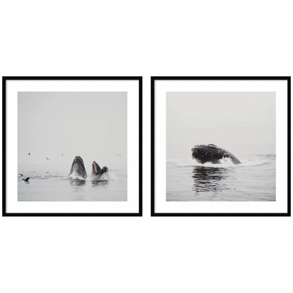 Humpback whale 2 piece framed wall art print set, ocean decor