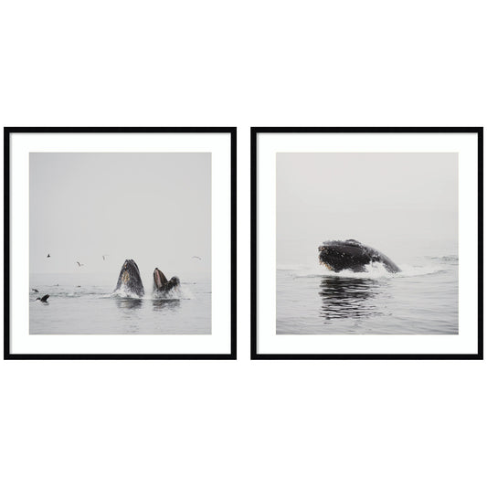 Humpback whale 2 piece framed wall art print set, ocean decor