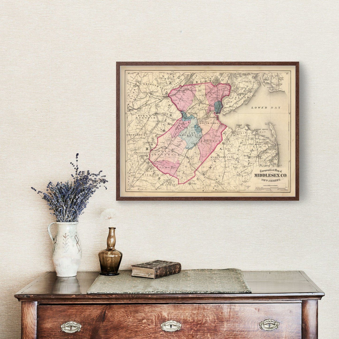 Vintage Map of Middlesex County, New Jersey, 1872