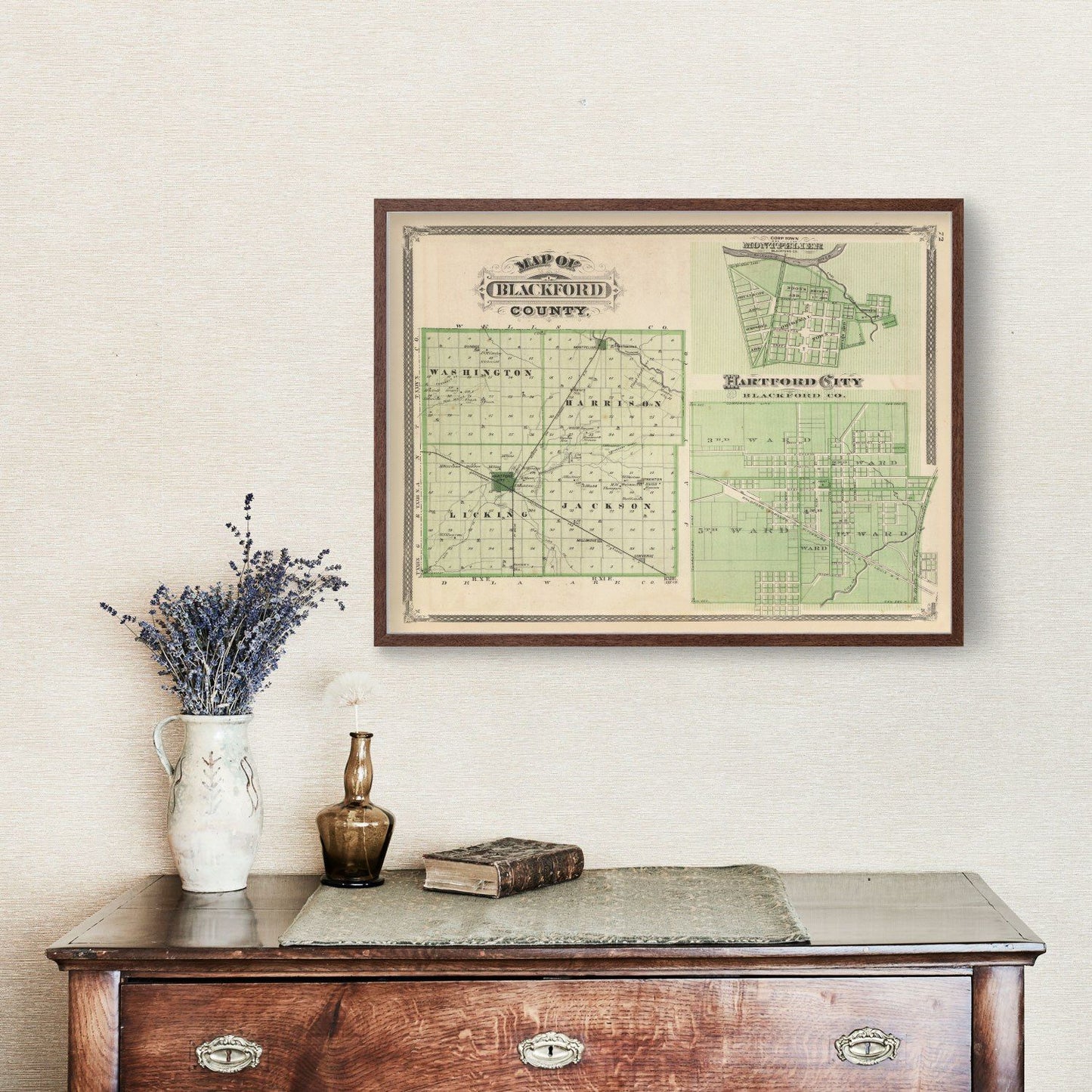 Vintage Map of Blackford County, Indiana, 1876