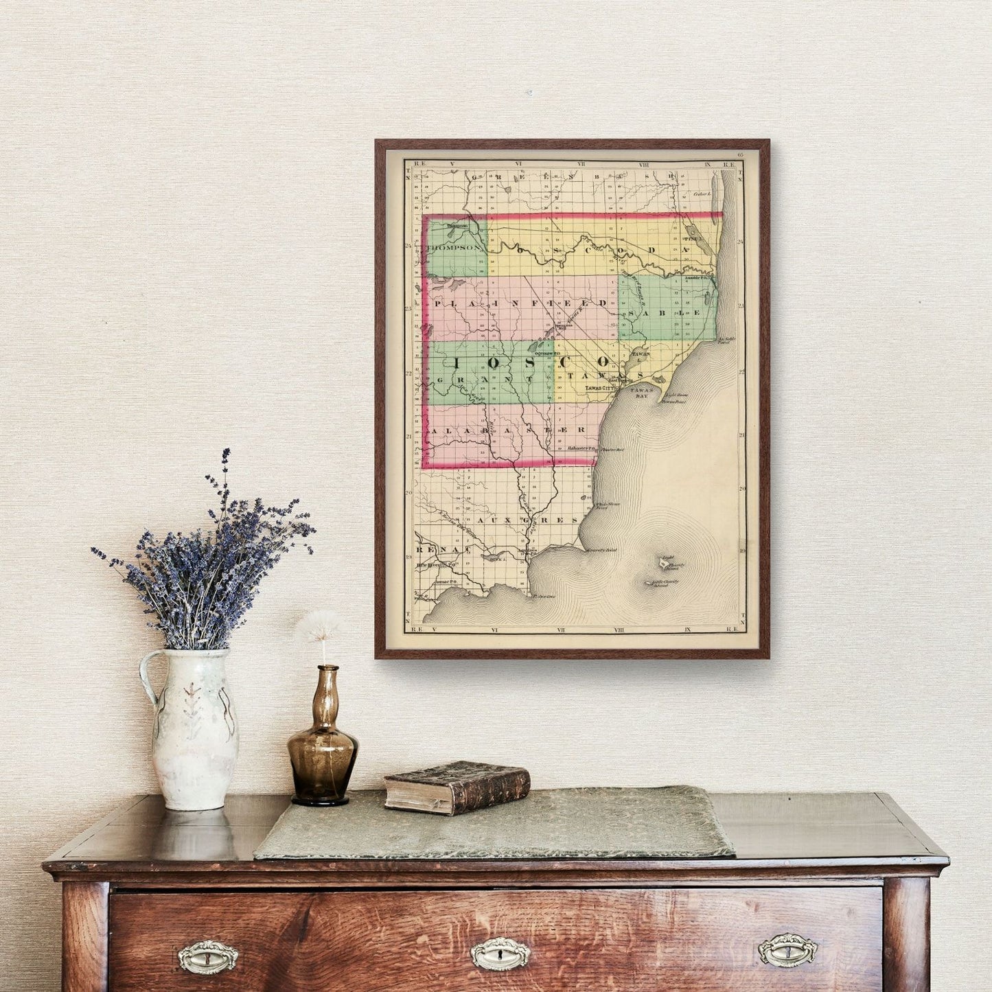 Vintage Map of Iosco County, Michigan, 1873