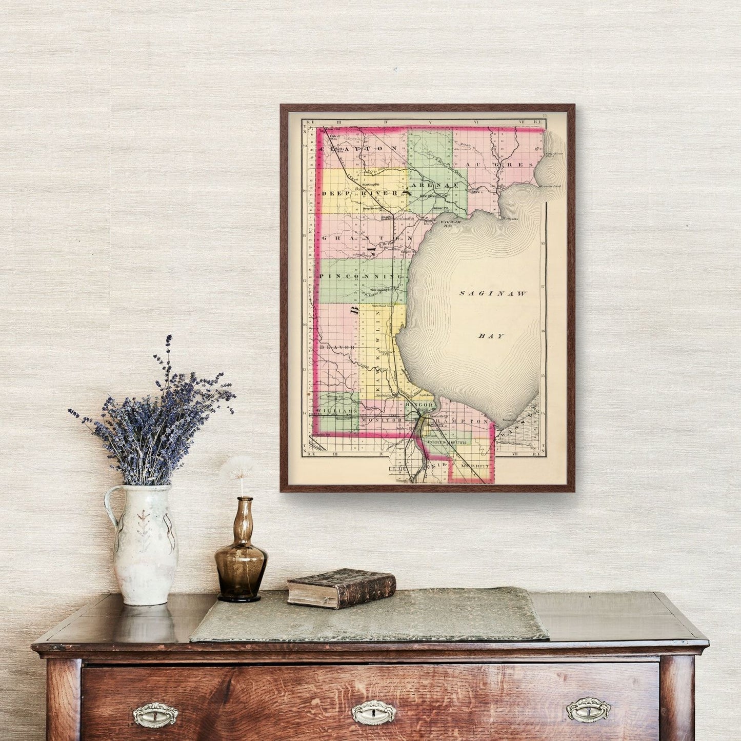 Vintage Map of Saginaw County, Michigan, 1873