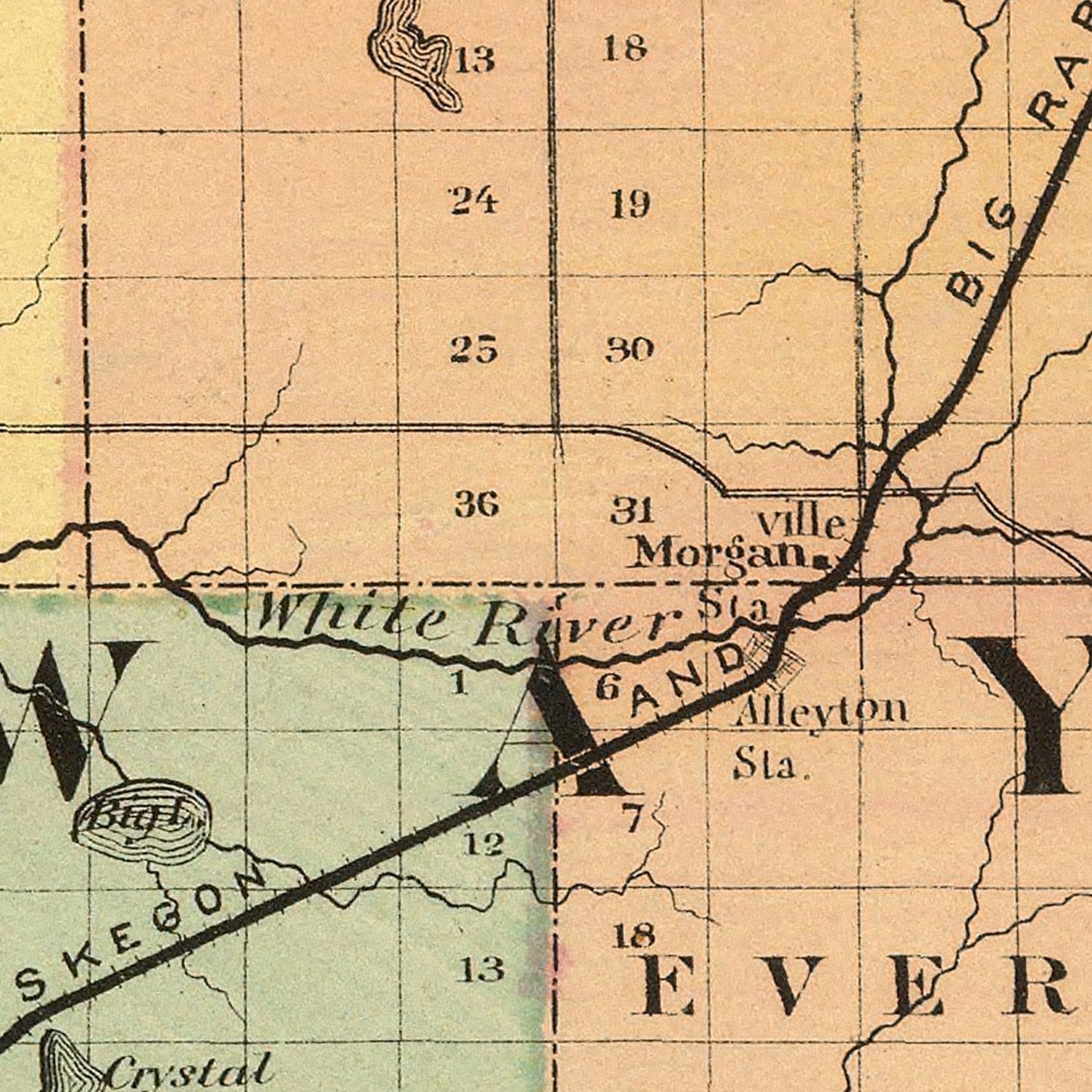Vintage Map of Newaygo County, Michigan, 1873
