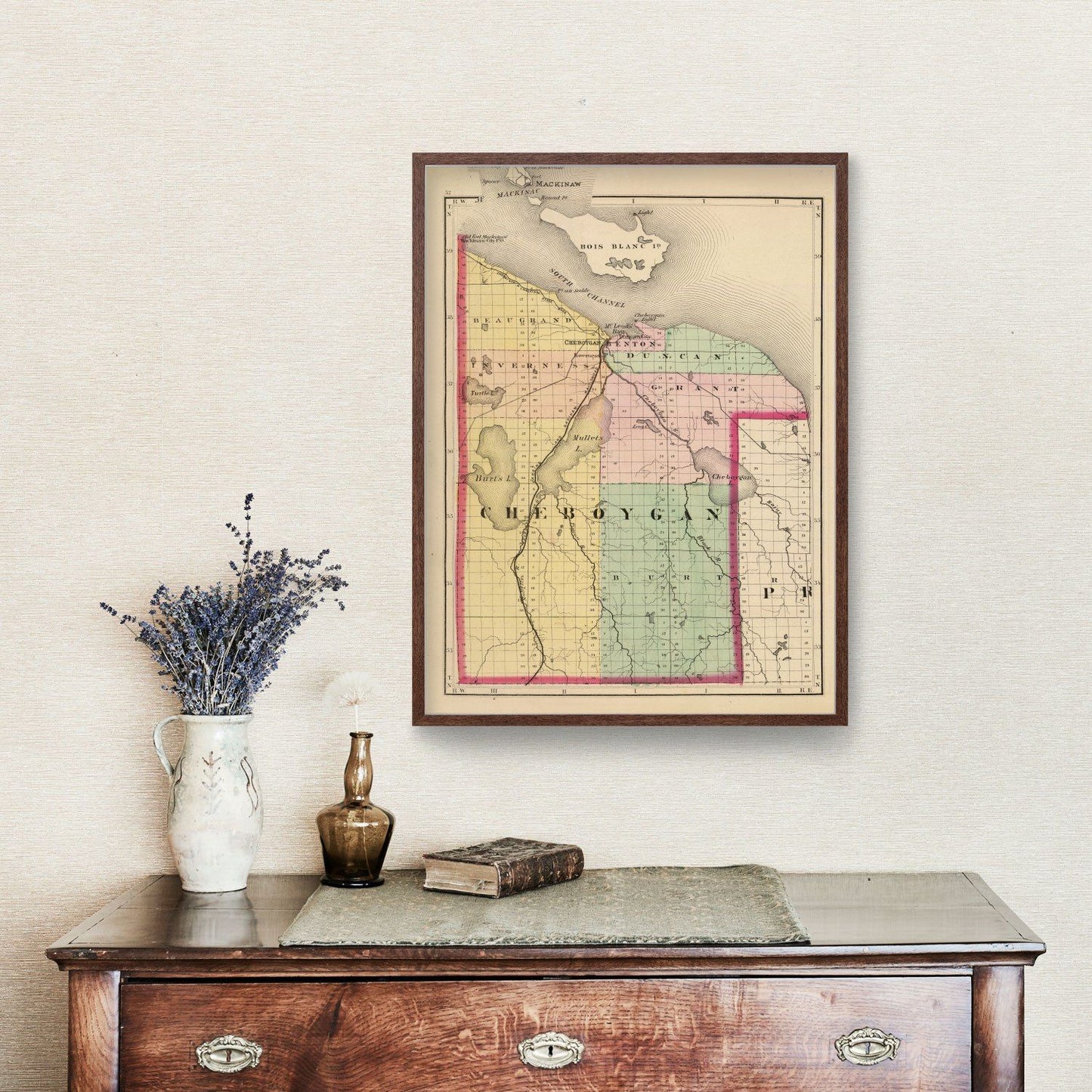 Vintage Map of Cheboygan County, Michigan, 1873