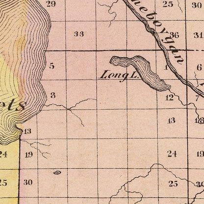 Vintage Map of Cheboygan County, Michigan, 1873