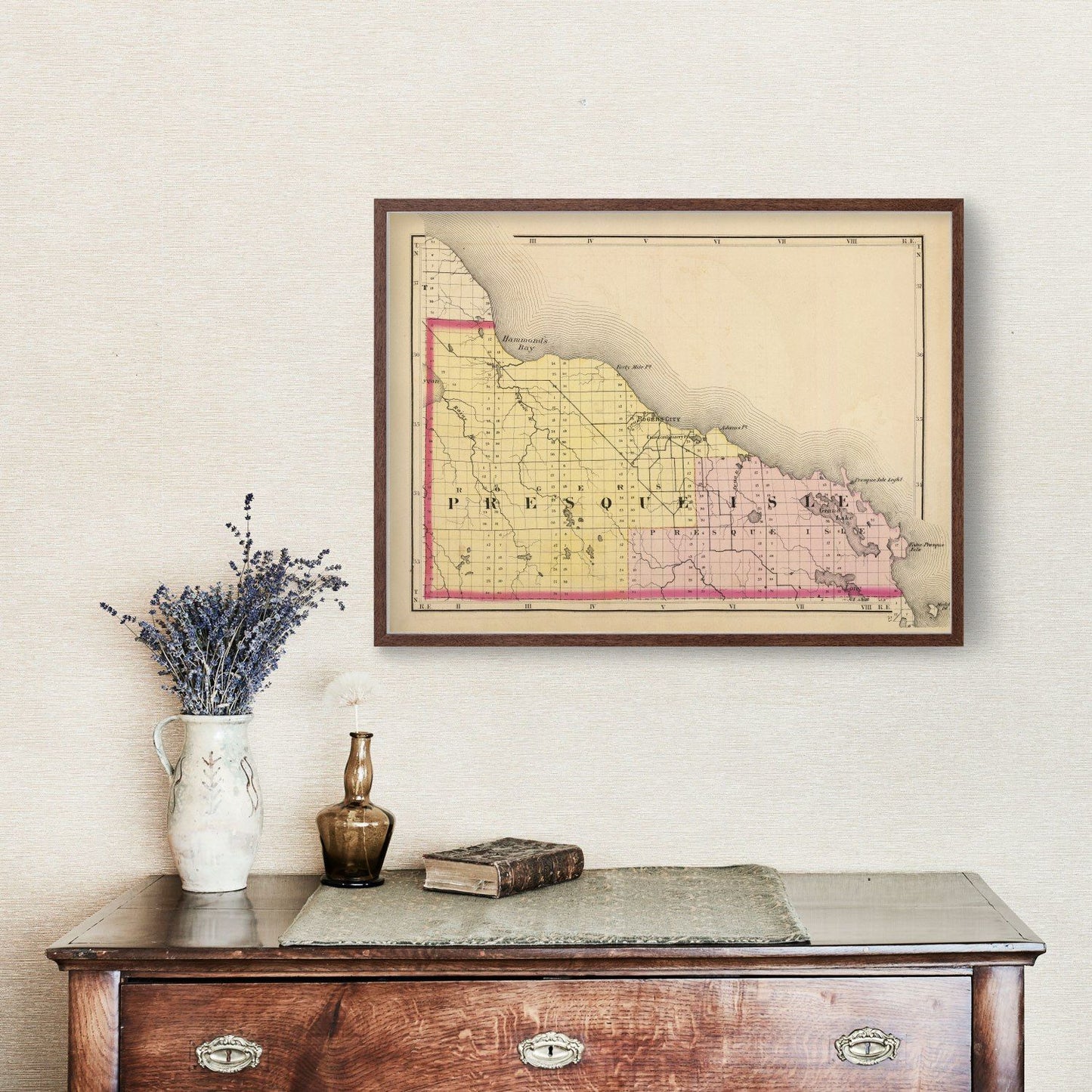 Vintage Map of Presque Isle County, Michigan, 1873