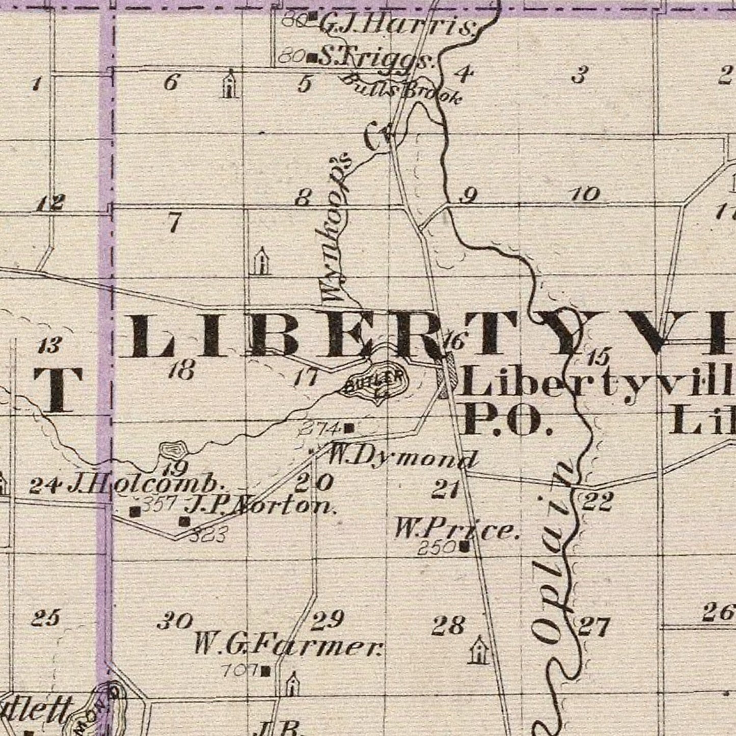 Vintage Map of Lake County, Illinois, 1876
