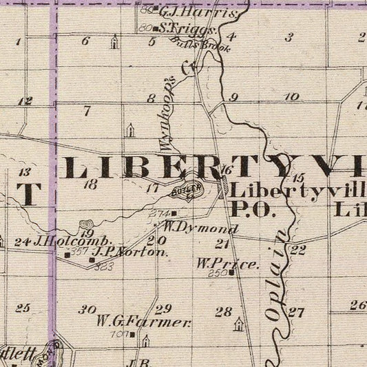 Vintage Map of Lake County, Illinois, 1876