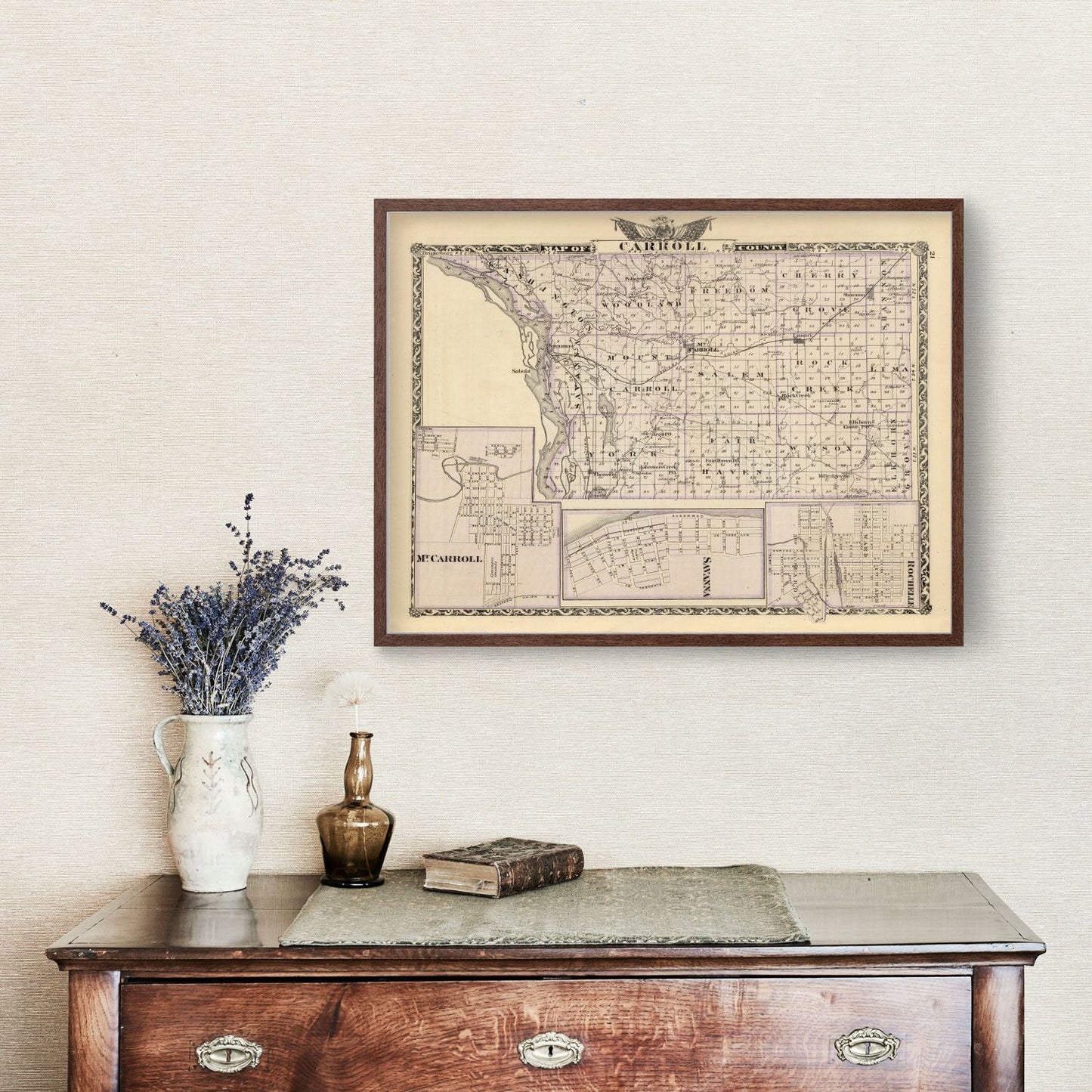 Vintage Map of Carroll County, Illinois, 1876