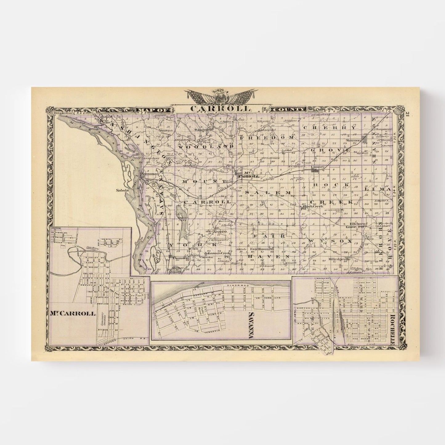 Vintage Map of Carroll County, Illinois, 1876