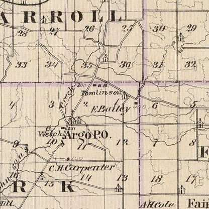 Vintage Map of Carroll County, Illinois, 1876