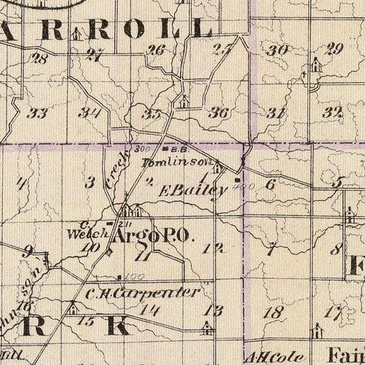 Vintage Map of Carroll County, Illinois, 1876