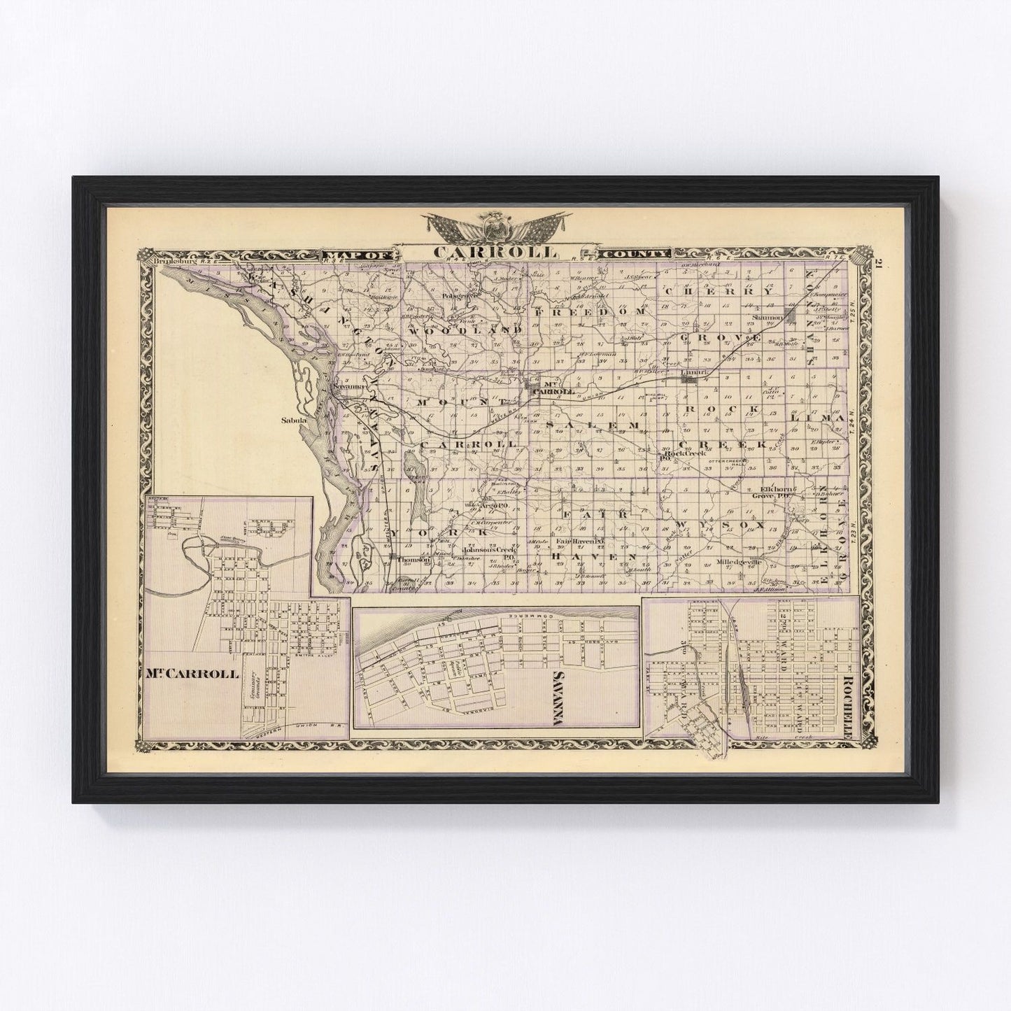 Vintage map of Carroll County, Illinois, 1876, restored vintage wall art print