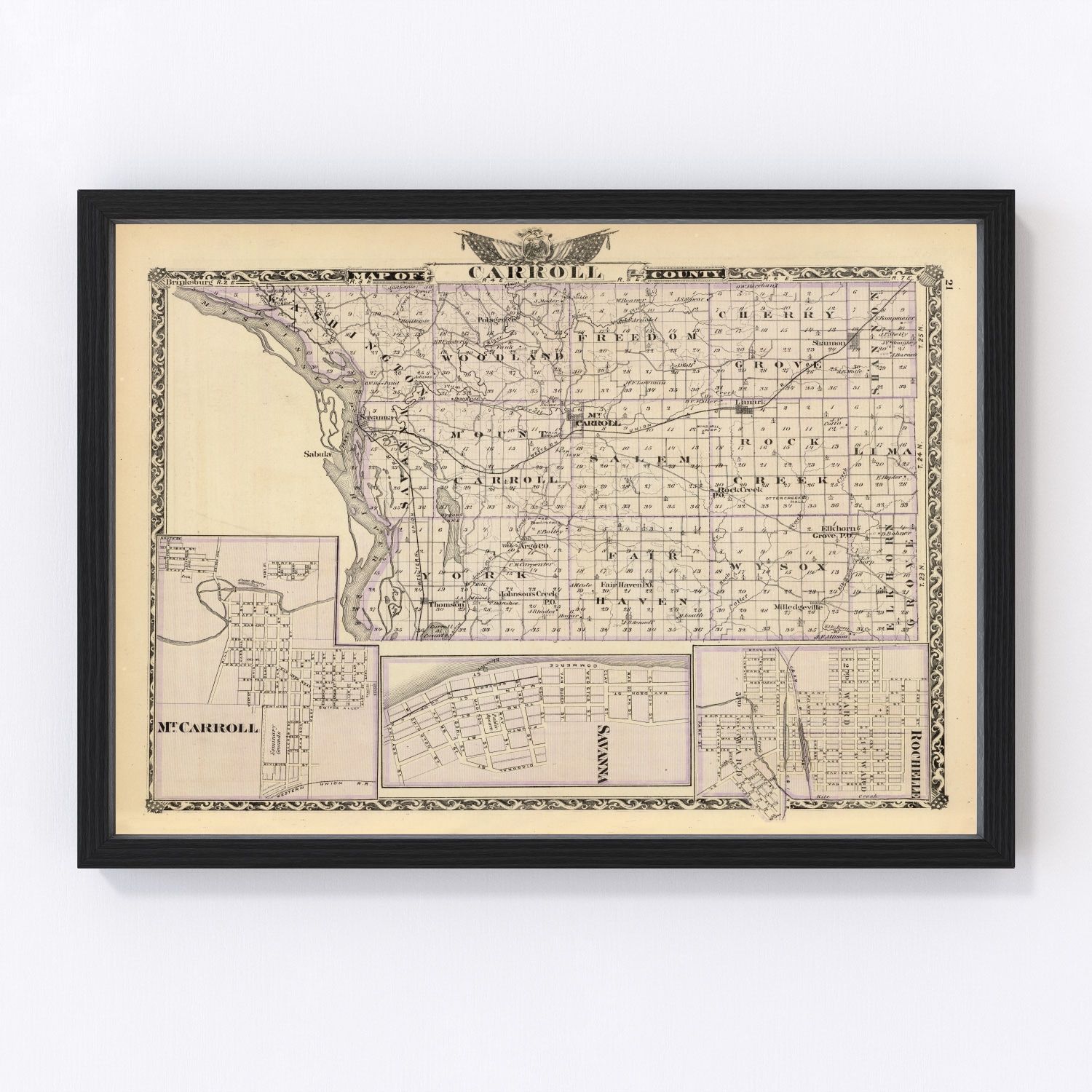Vintage map of Carroll County, Illinois, 1876, restored vintage wall art print