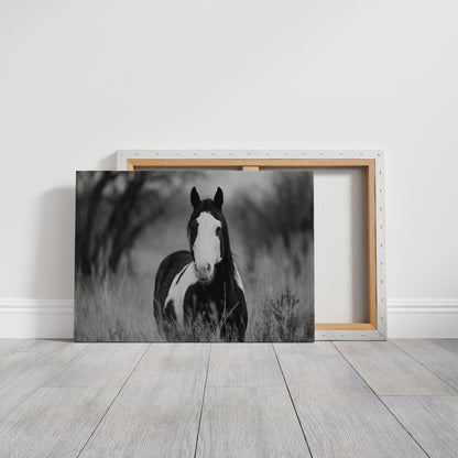 Wild Hearts Run Free Black and White Horse Wall Art