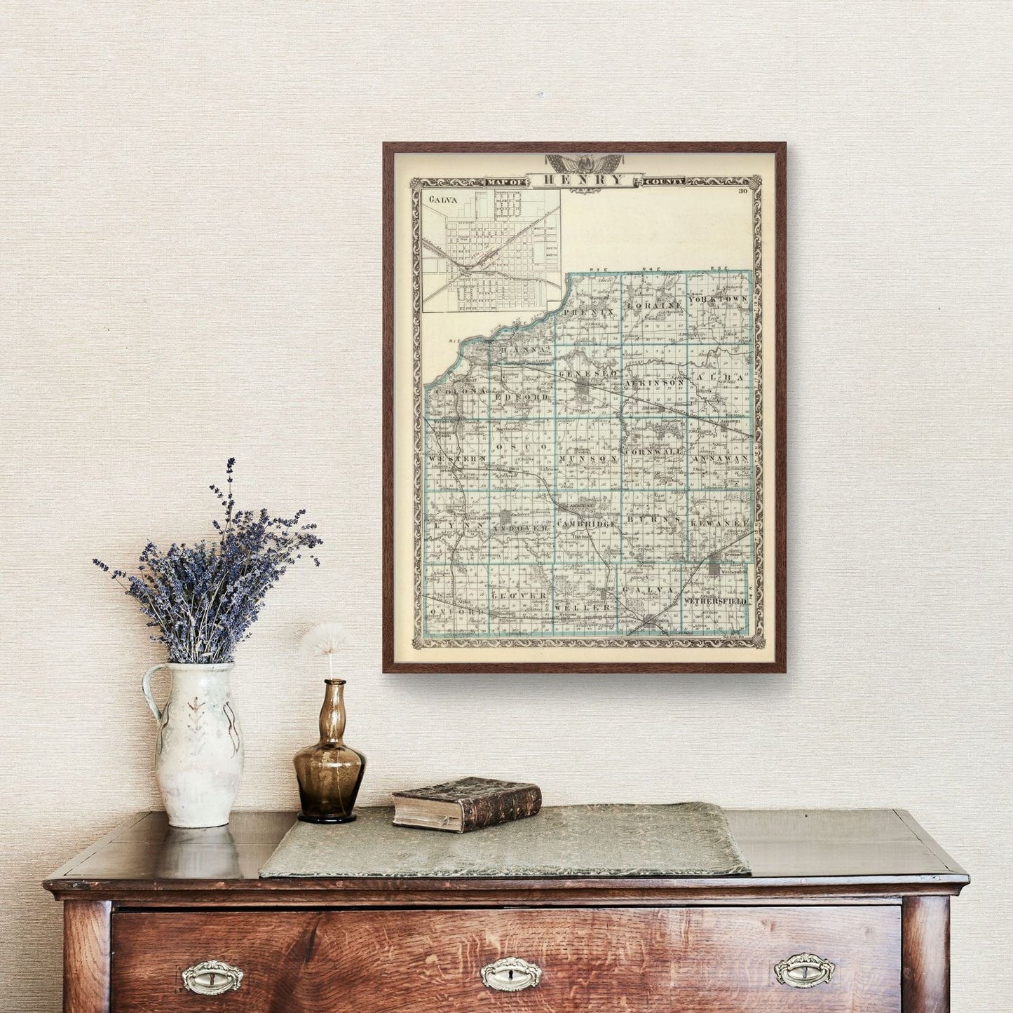 Vintage Map of Henry County, Illinois, 1876 (Cambridge)