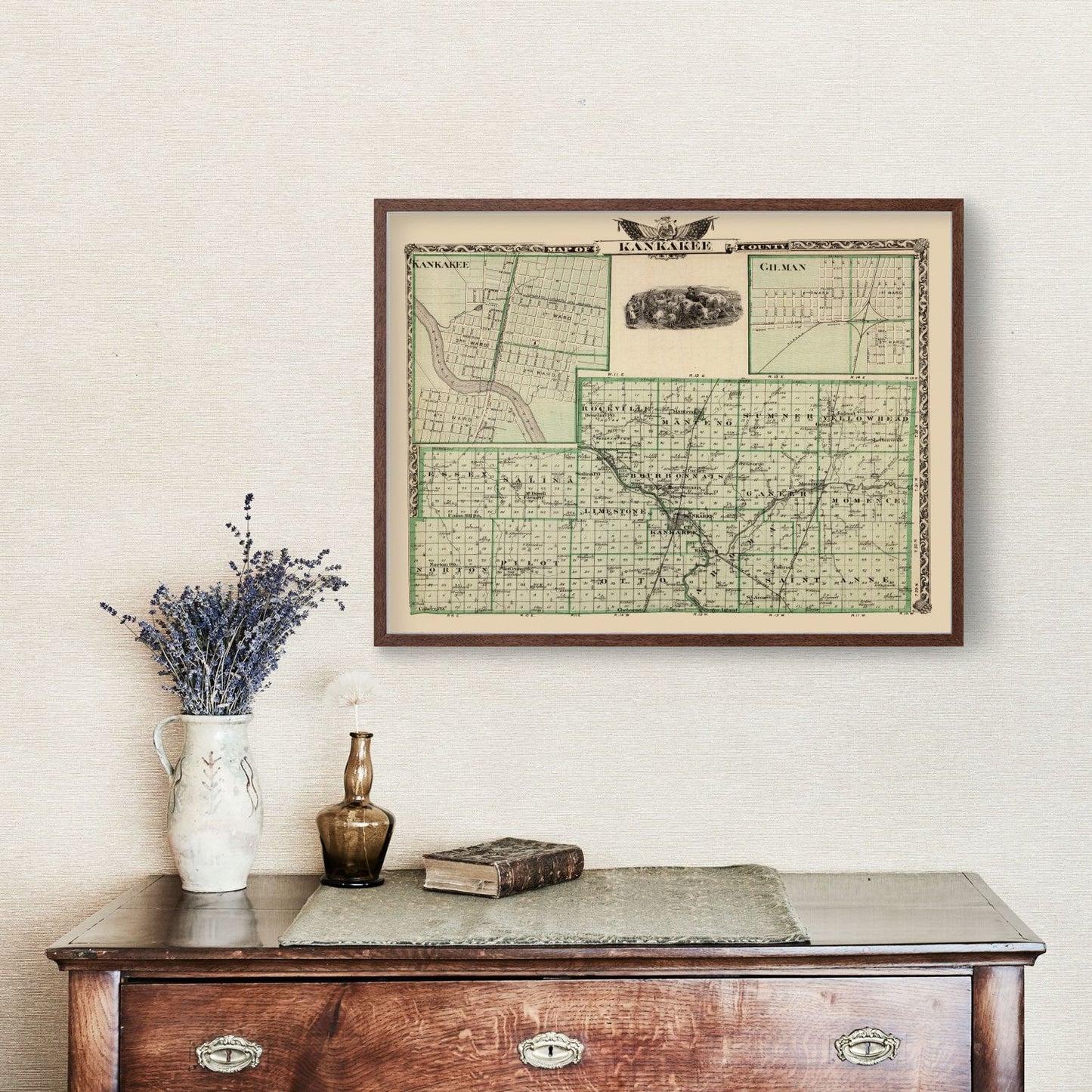 Vintage Map of Kankakee County, Illinois, 1876