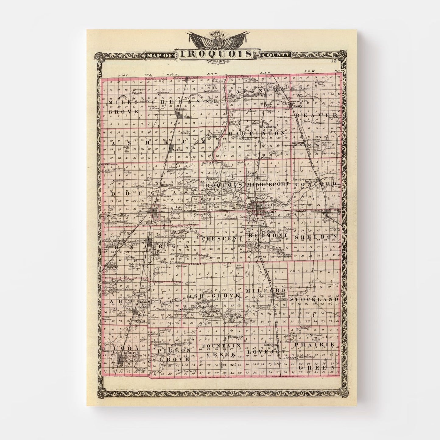 Vintage Map of Iroquois County, Illinois, 1876