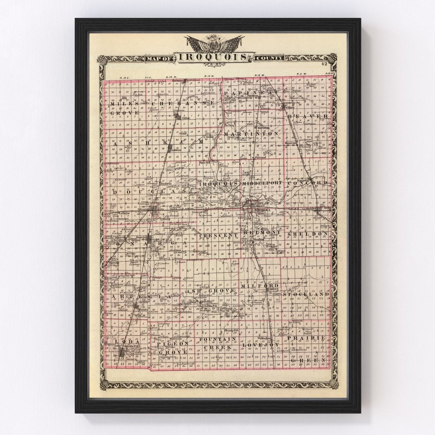 Vintage map of Iroquois County, Illinois, 1876
