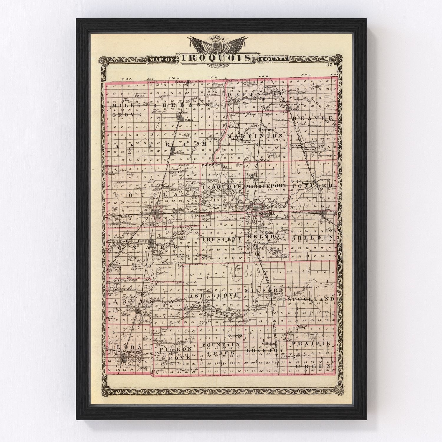 Vintage map of Iroquois County, Illinois, 1876