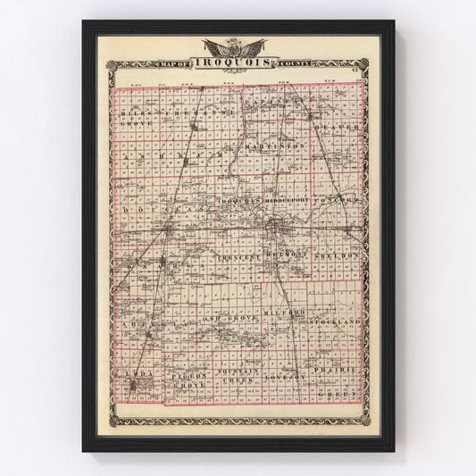 Vintage map of Iroquois County, Illinois, 1876