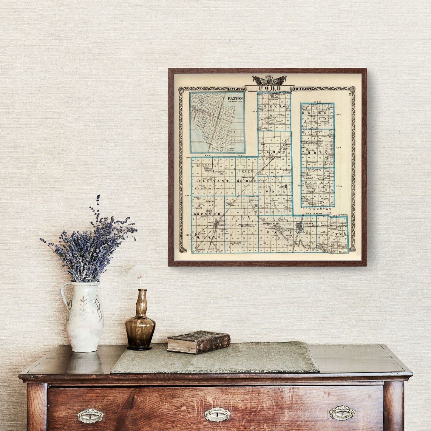 Vintage Map of Ford County, Illinois, 1876