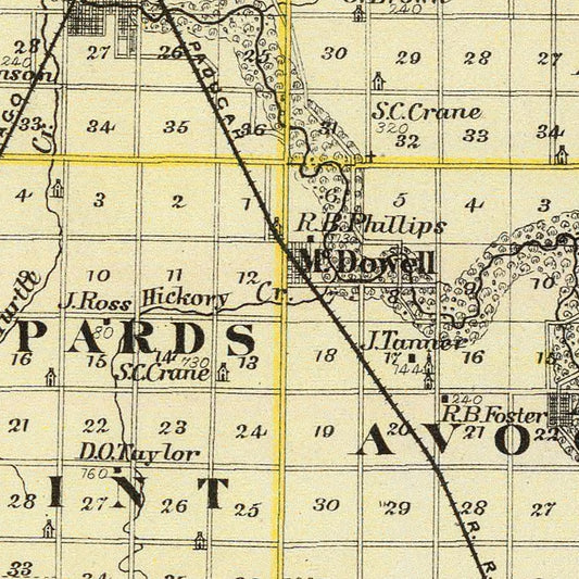 Vintage Map of Livingston County, Illinois, 1876