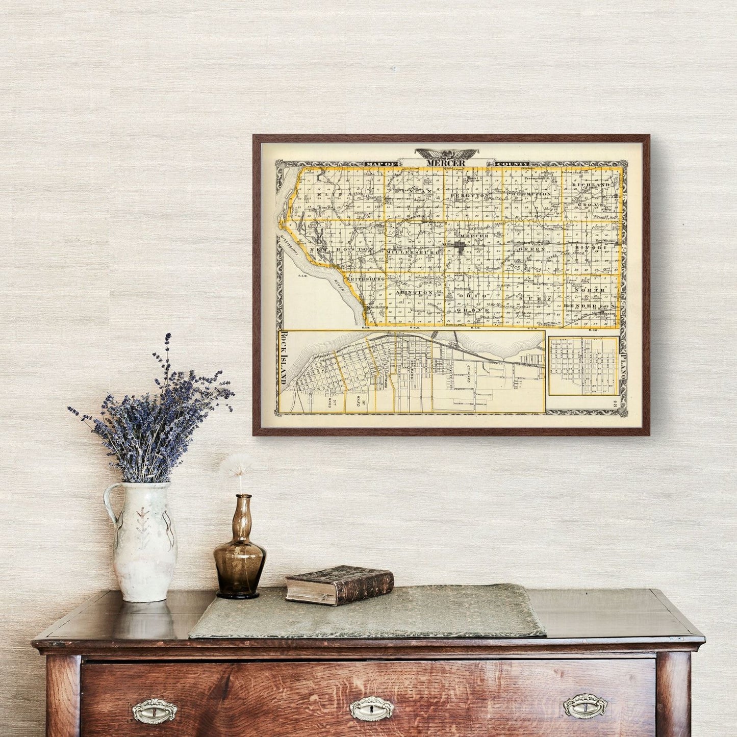 Vintage Map of Mercer County, Illinois, 1876
