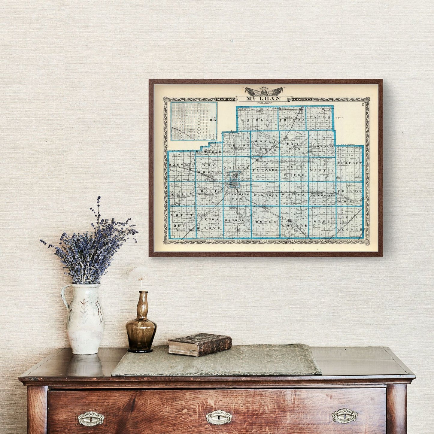Vintage Map of McLean County, Illinois, 1876