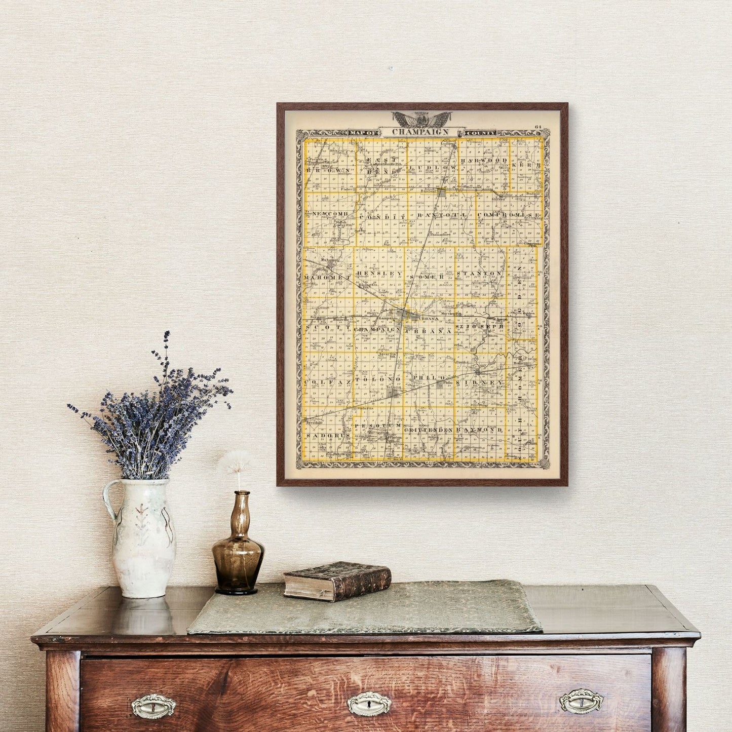 Vintage Map of Champaign County, Illinois, 1876