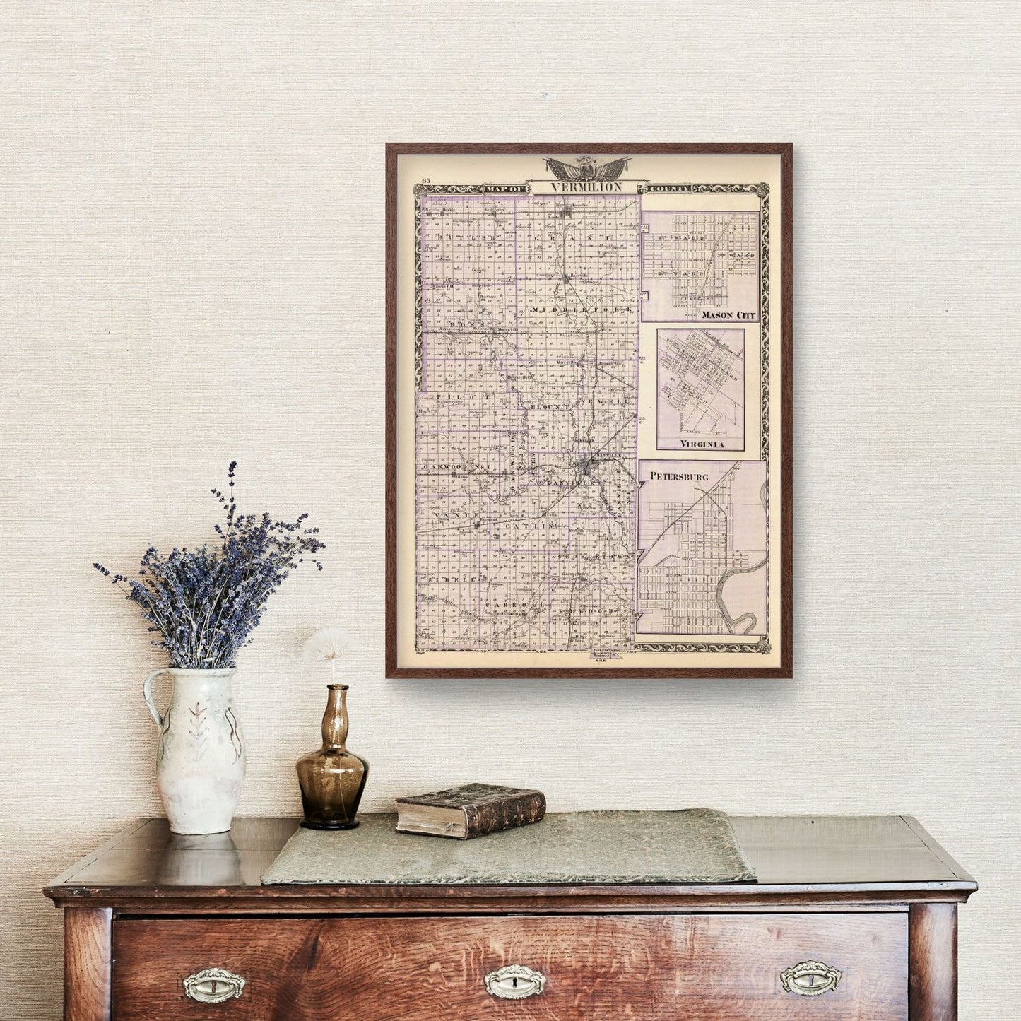 Vintage Map of Vermilion County, Illinois, 1876