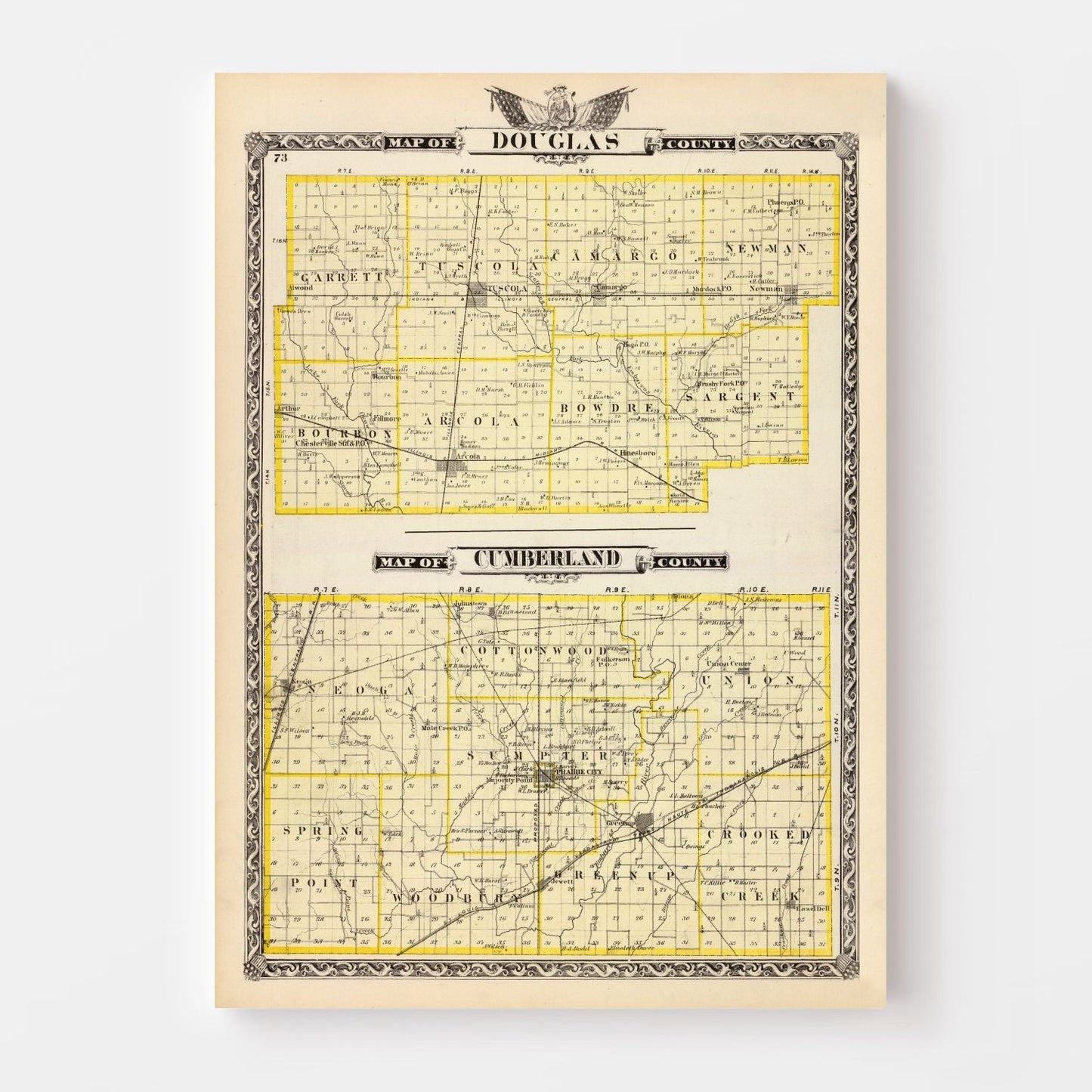 Vintage Map of Douglas County, Illinois, 1876