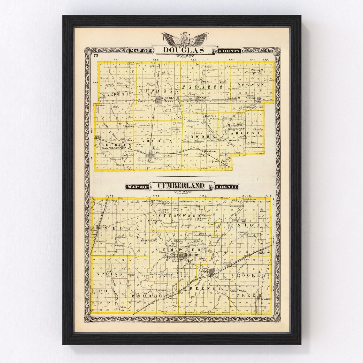 vintage map of Douglas County, Illinois, 1876