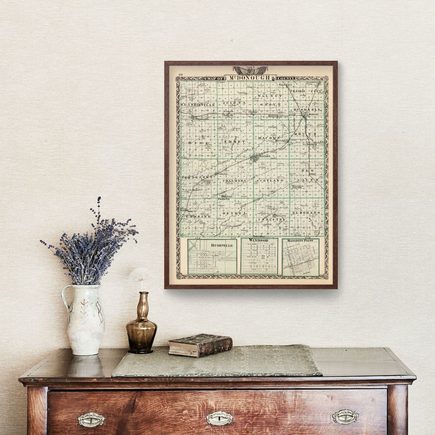Vintage Map of McDonough County, Illinois, 1876
