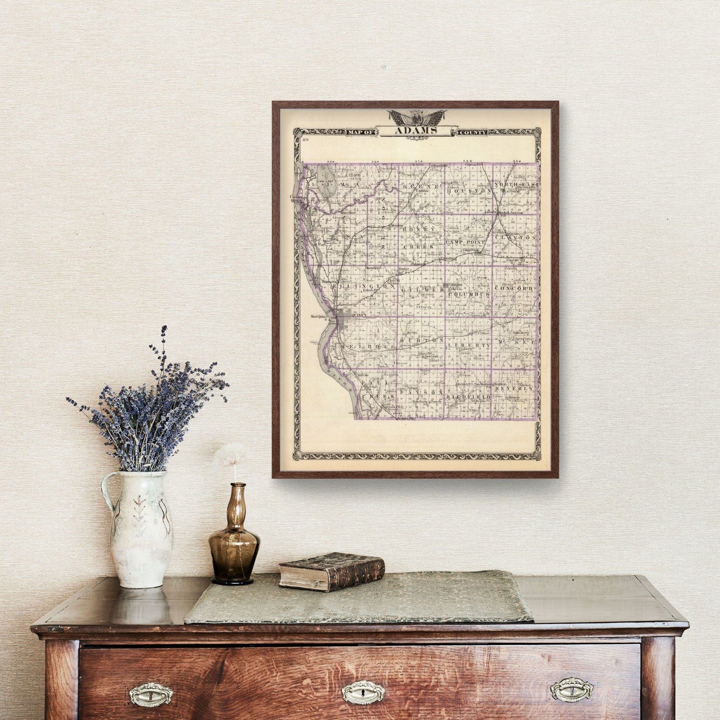 Vintage Map of Adams County, Illinois, 1876