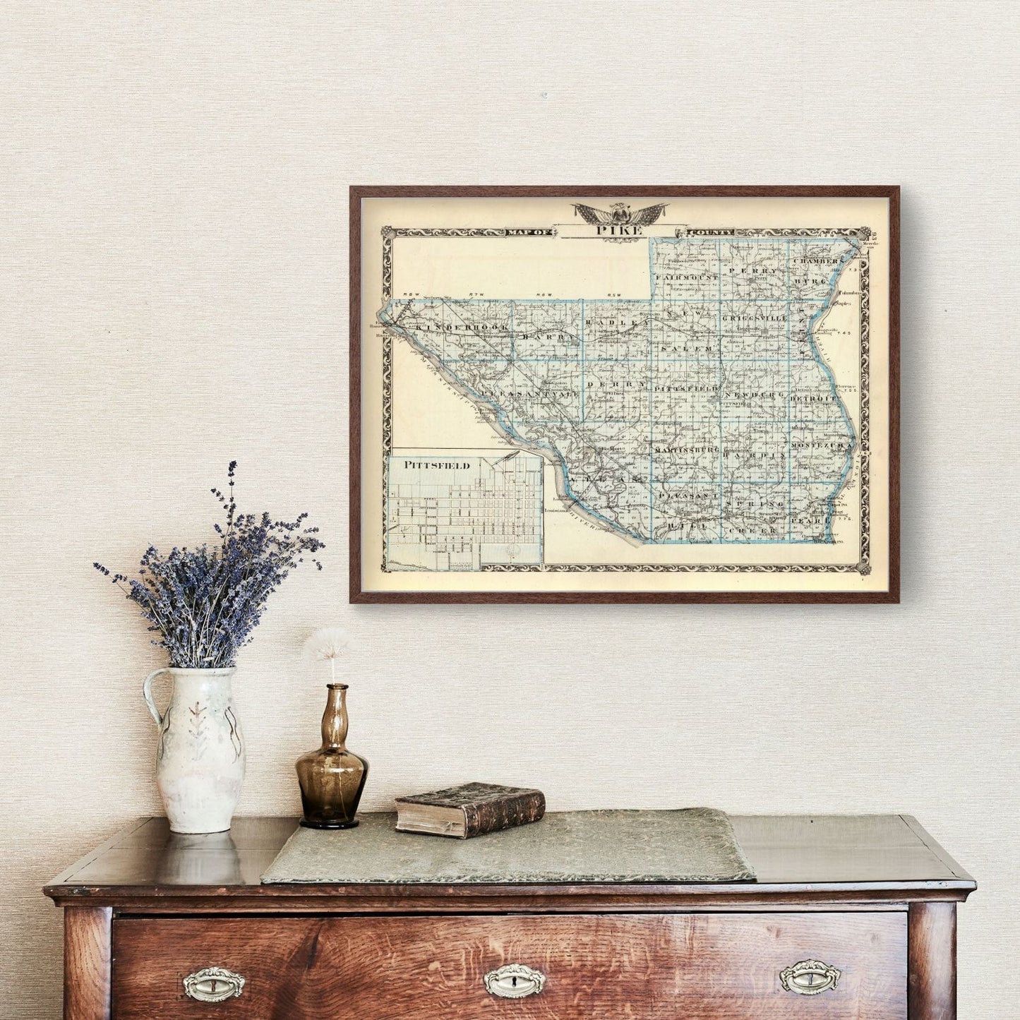 Vintage Map of Pike County, Illinois, 1876