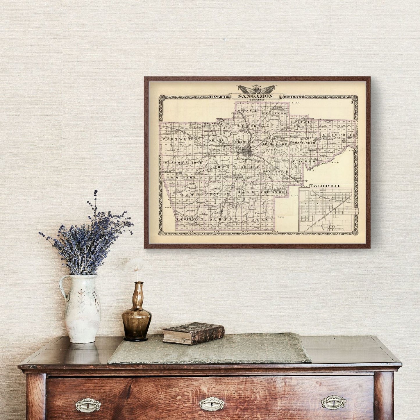 Vintage Map of Sangamon County, Illinois, 1876