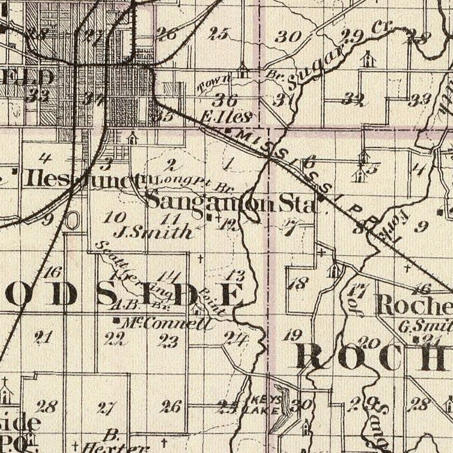 Vintage Map of Sangamon County, Illinois, 1876