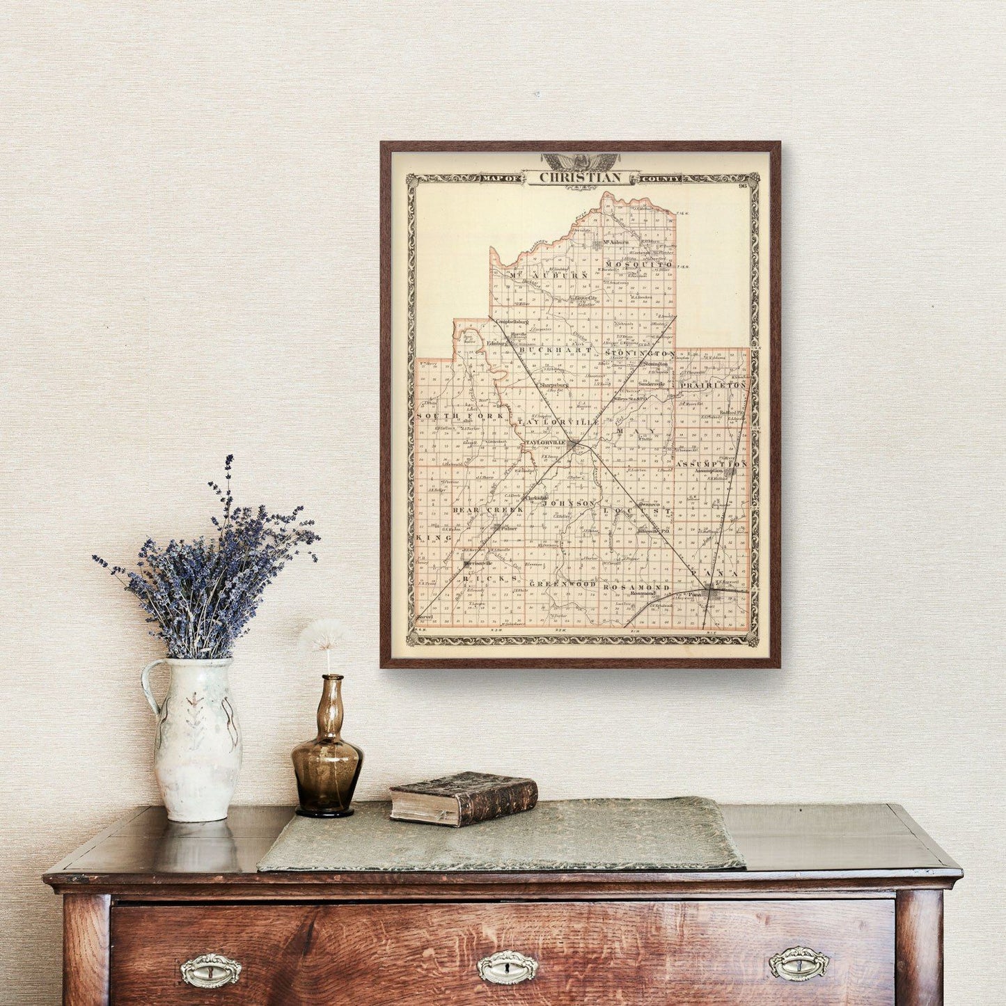 Vintage Map of Christian County, Illinois, 1876