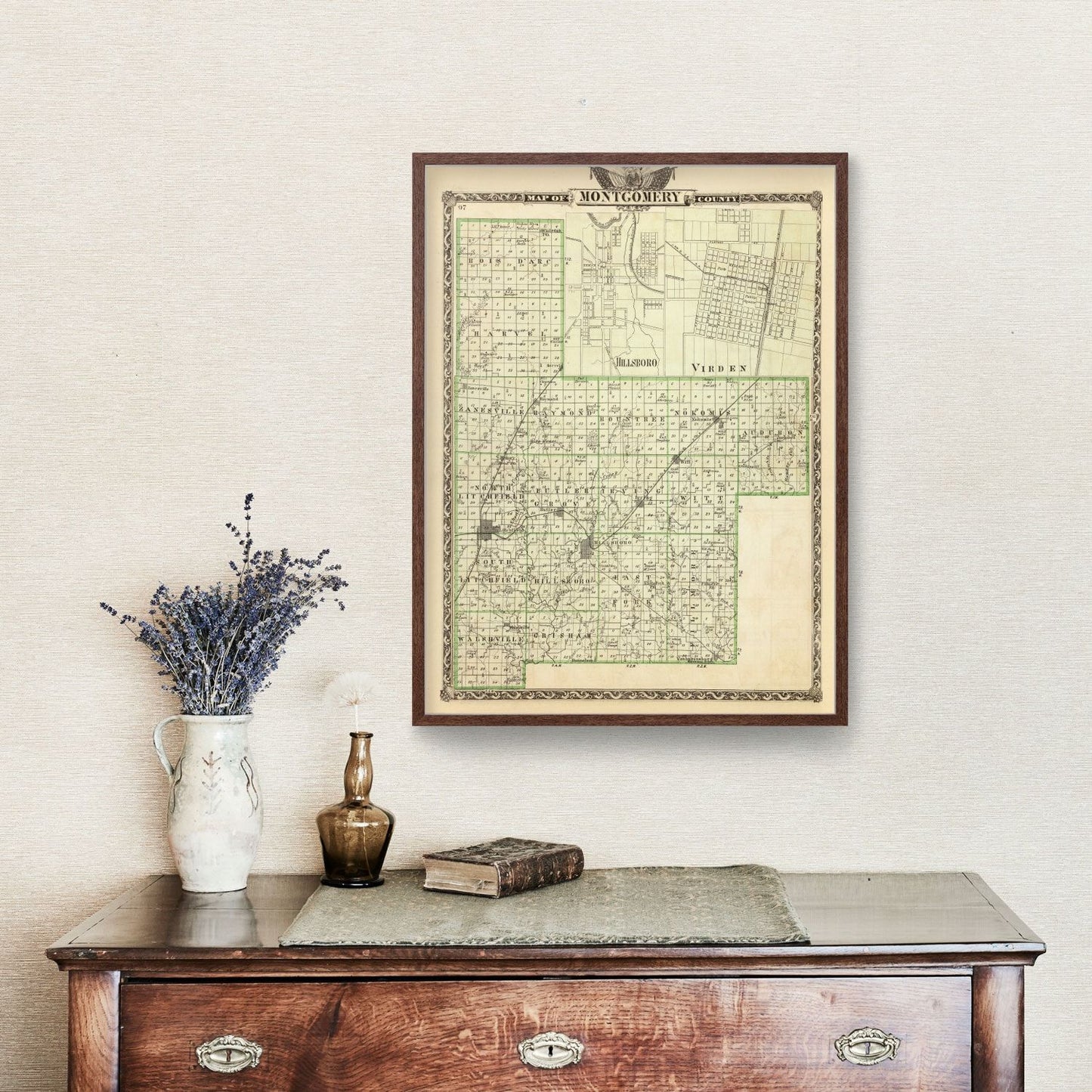 Vintage Map of Montgomery County, Illinois, 1876