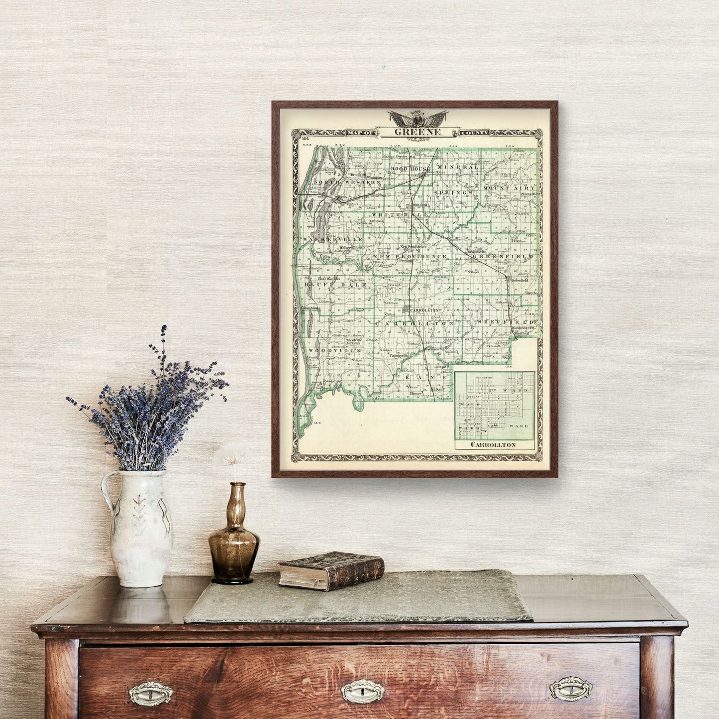 Vintage Map of Greene County, Illinois, 1876