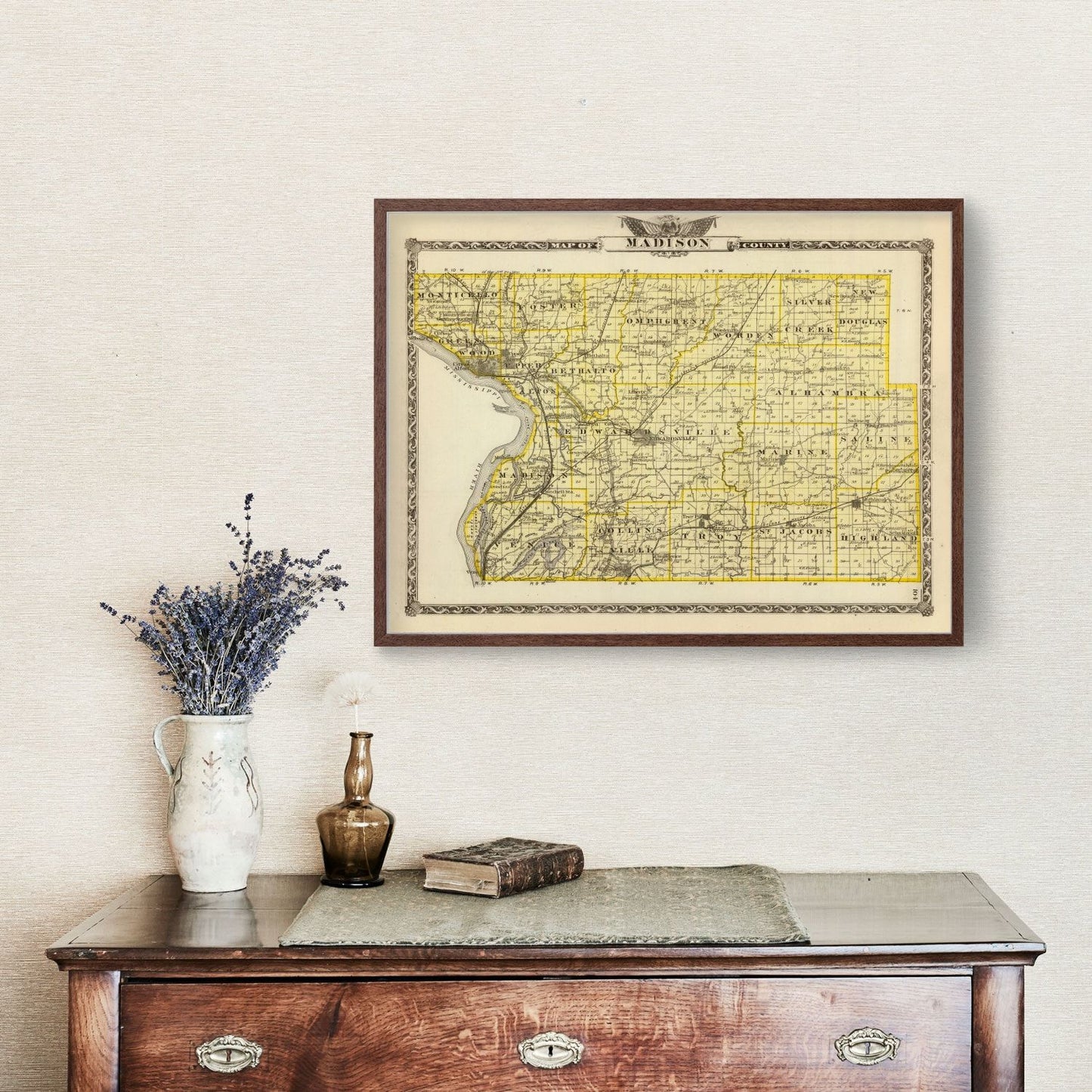 Vintage Map of Madison County, Illinois, 1876