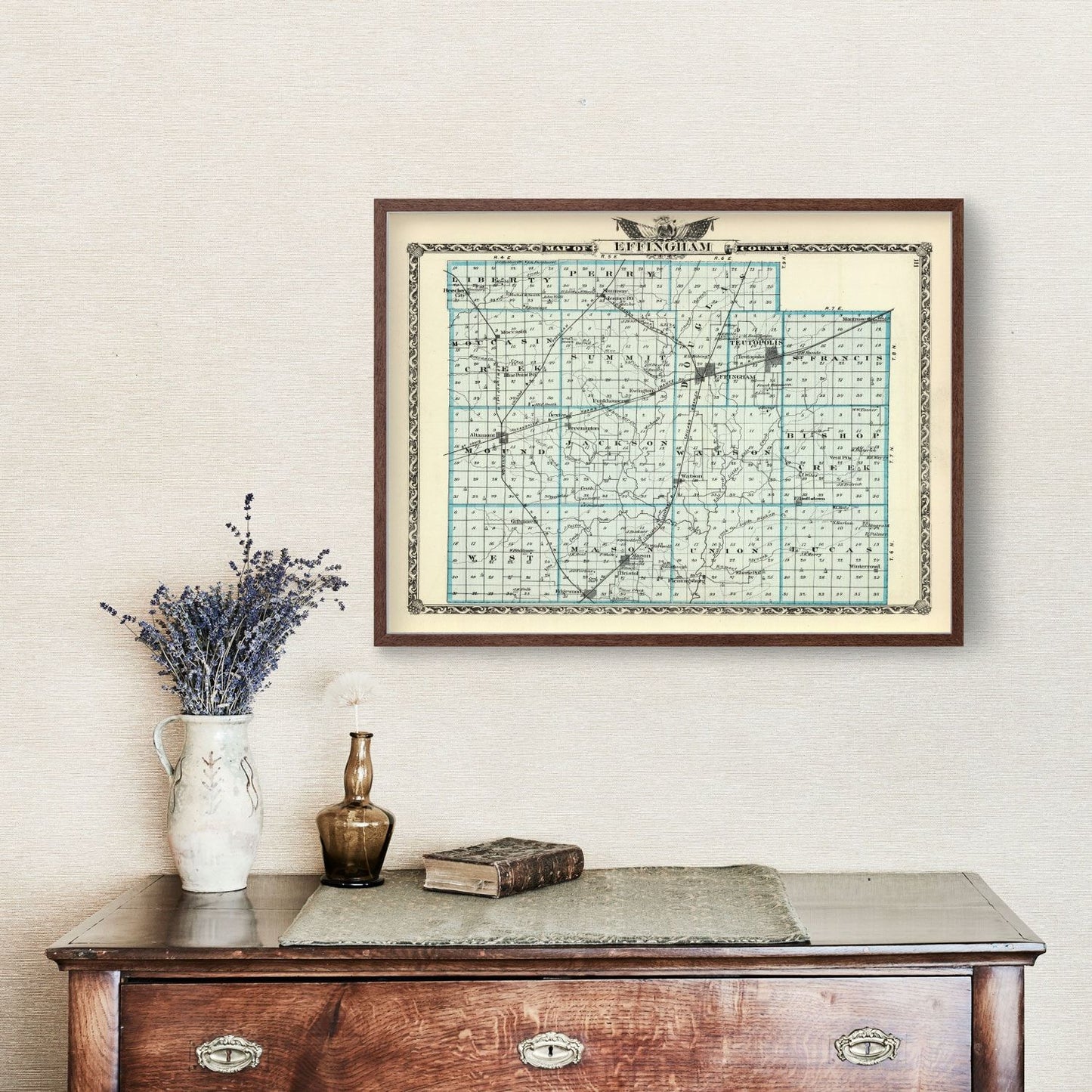 Vintage Map of Effingham County, Illinois, 1876