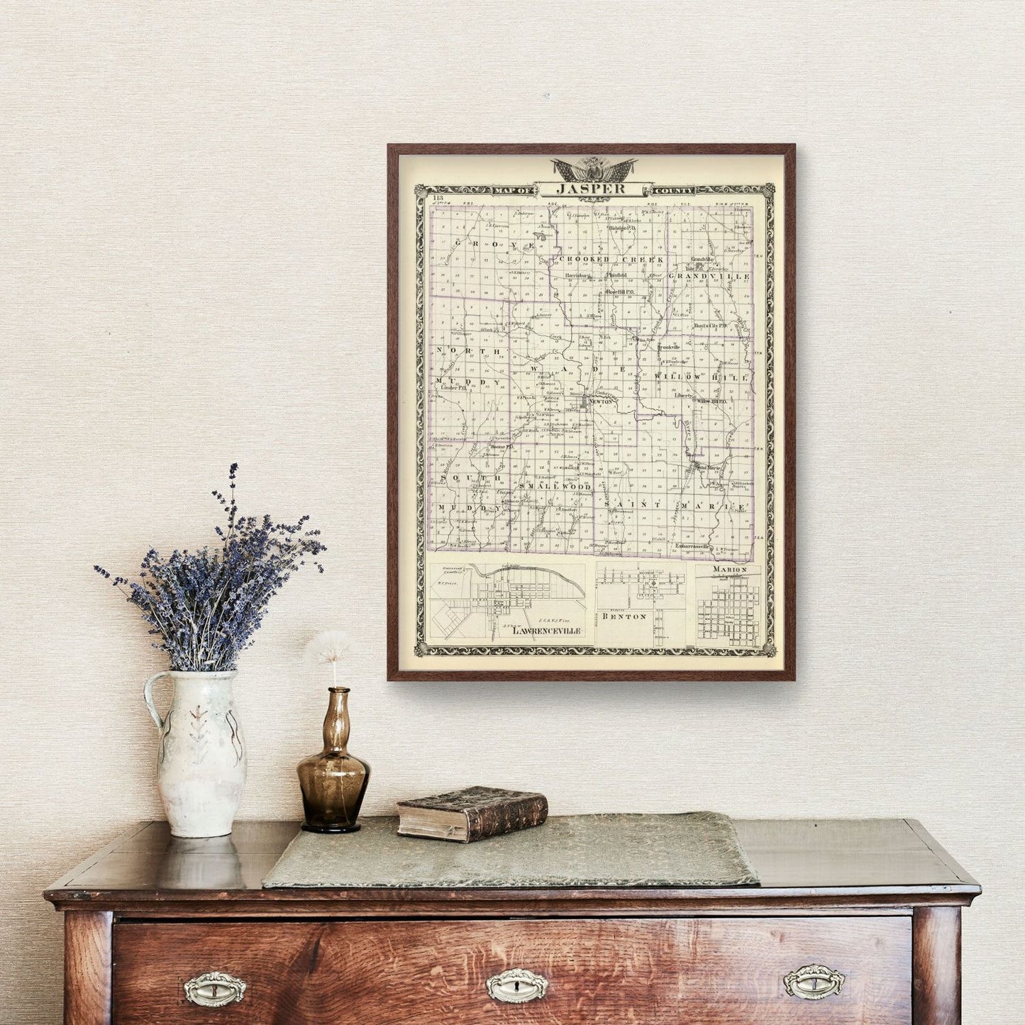 Vintage Map of Jasper County, Illinois, 1876