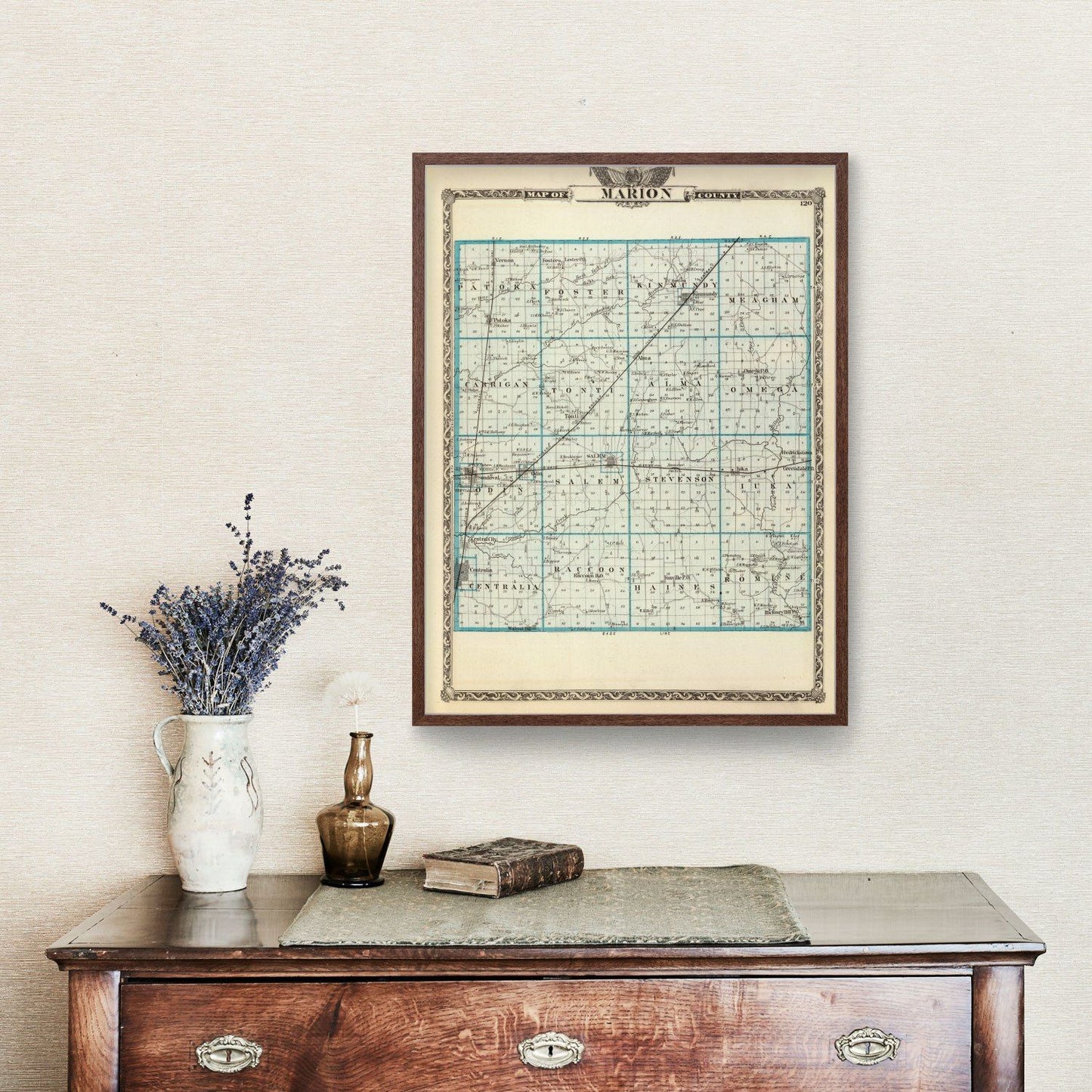 Vintage Map of Marion County, Illinois, 1876