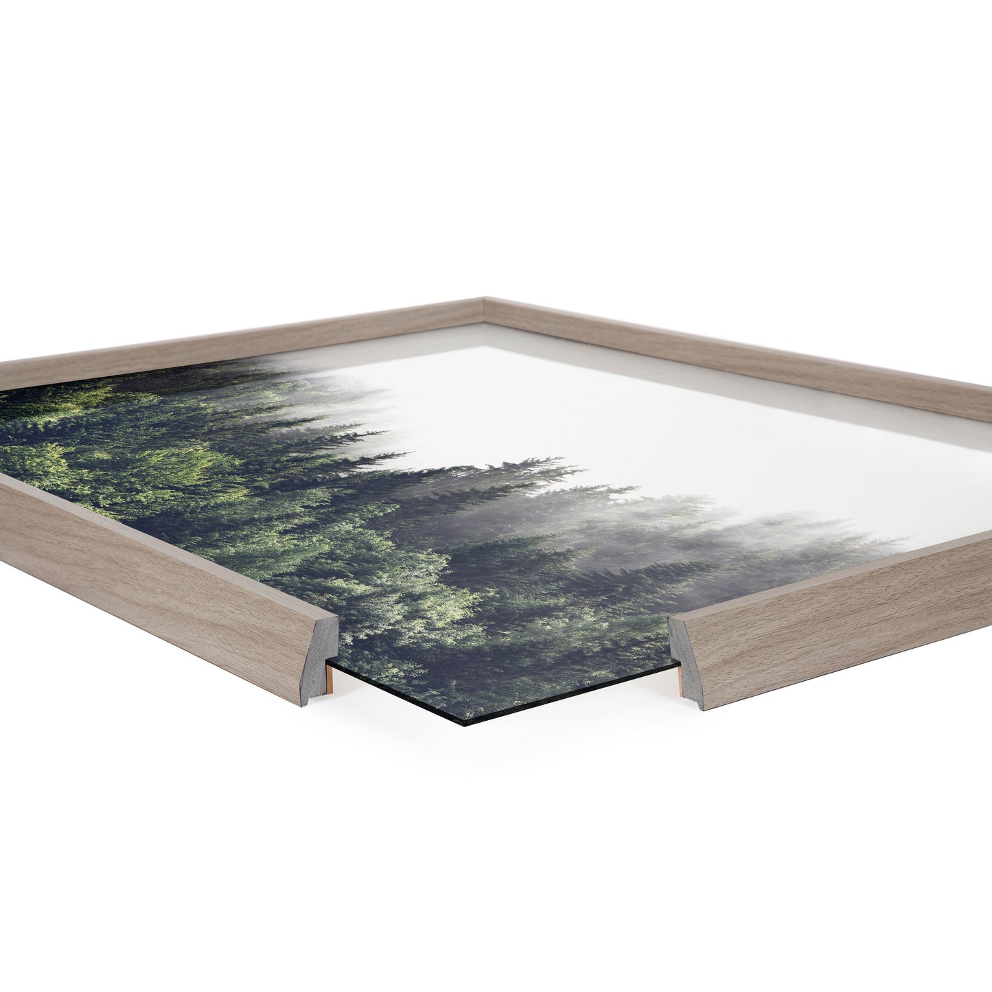 Lush Green Forest Foggy Day Framed Glass Wall Art
