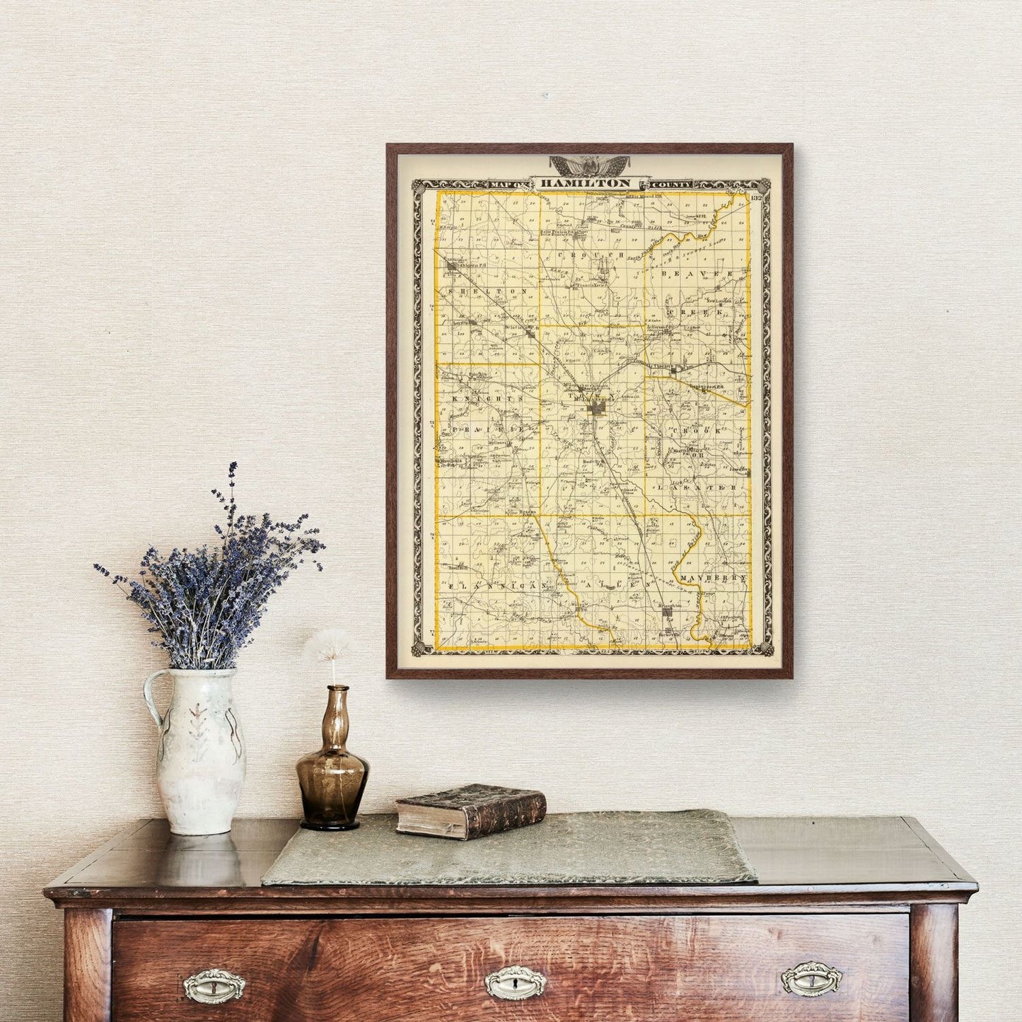 Vintage Map of Hamilton County, Illinois, 1876
