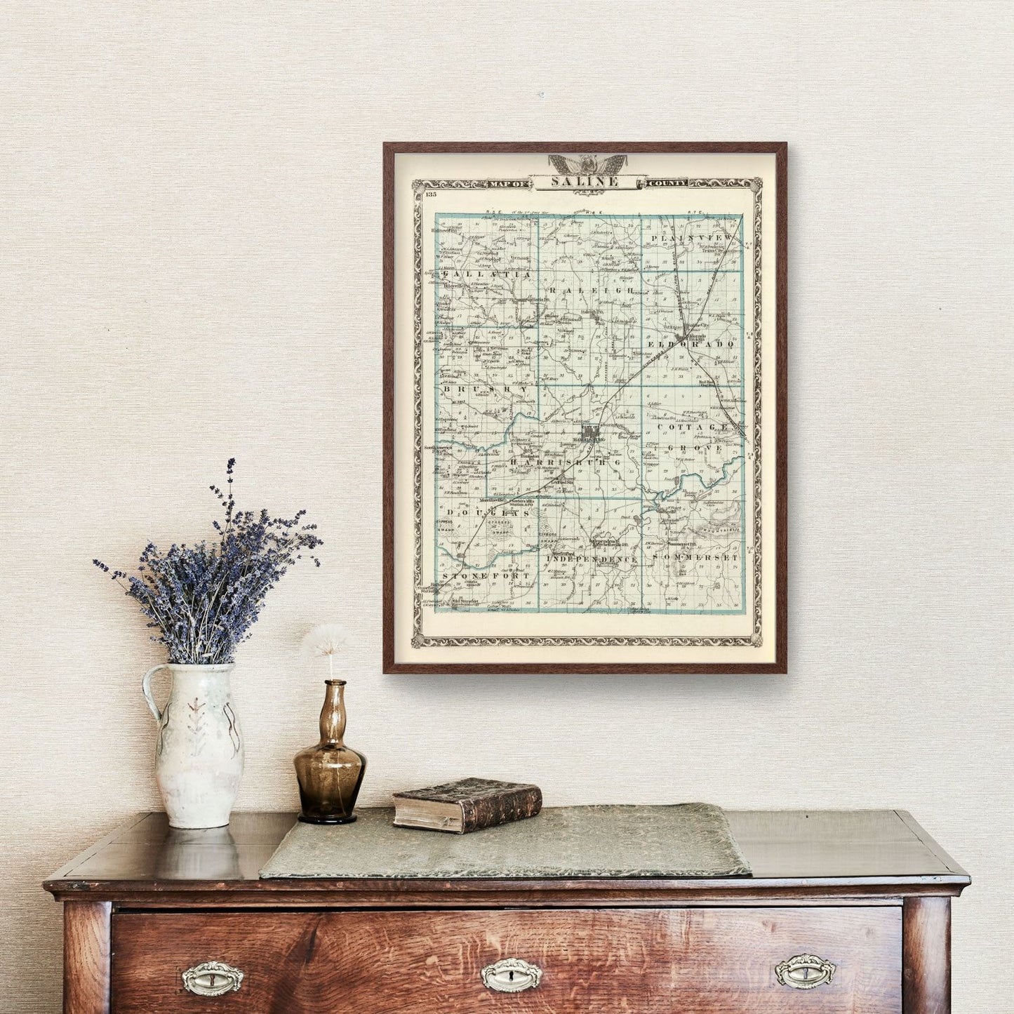 Vintage Map of Saline County, Illinois, 1876
