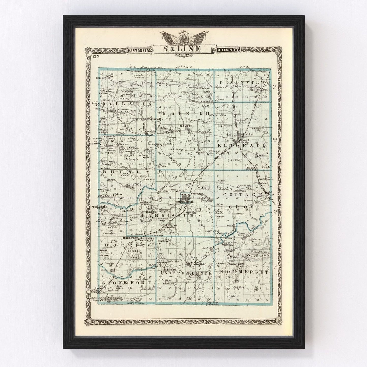 vintage map of Saline County, Illinois, 1876