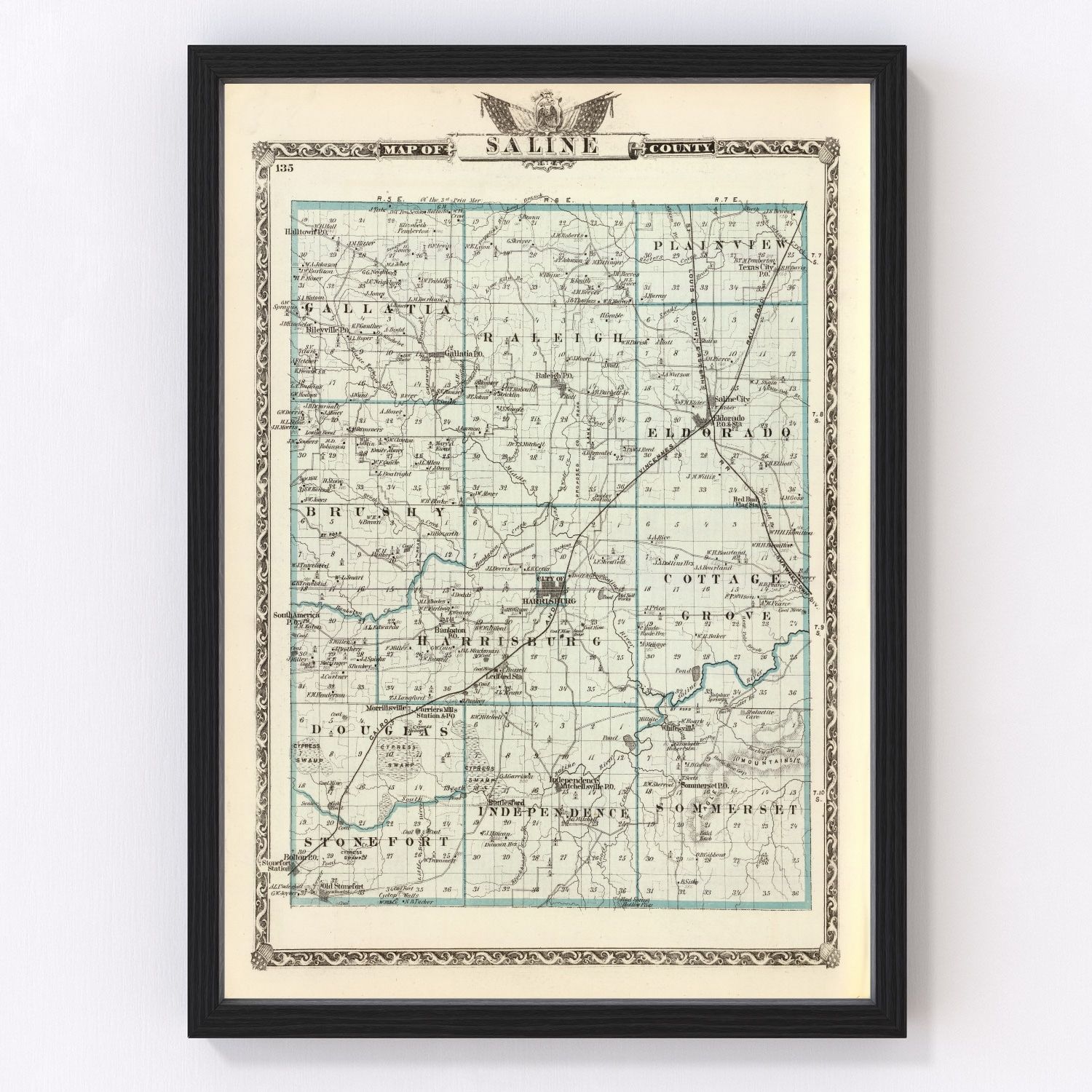 vintage map of Saline County, Illinois, 1876